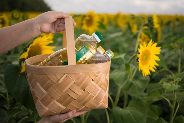 Mehrere Flaschen goldenes Sonnenblumenöl in einem Weidenkorb vor dem Hintergrund eines Feldes blühender Sonnenblumen in einem sonnigen Kopienraum