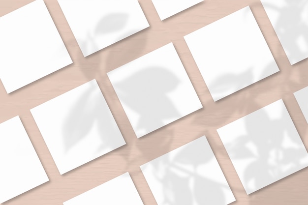 Mehrere quadratische Blätter aus weißem strukturiertem Papier vor einem rosafarbenen Wandhintergrund. Modell mit einer Überlagerung von Pflanzenschatten. Natürliches Licht wirft Schatten von einer exotischen Pflanze. Horizontale Ausrichtung