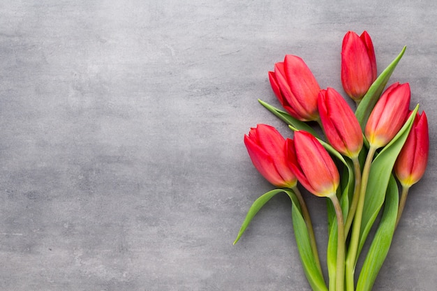 Mehrfarbige Frühlingsblumen, Tulpe auf Grau