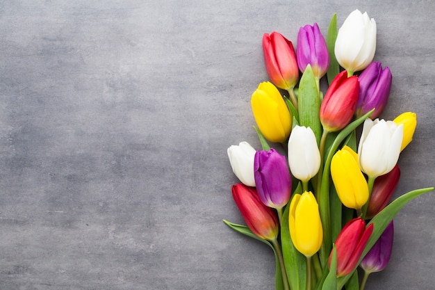 Mehrfarbige Frühlingsblumen, Tulpe auf Grau