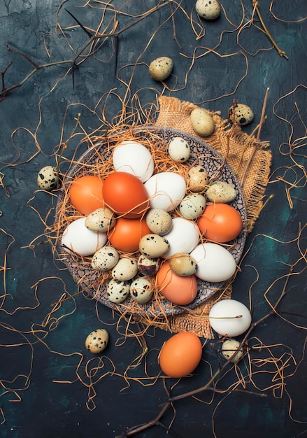 Mehrfarbige Hühner- und Wachteleier mit Stroh und Ästen Frühling Ostern Komposition schwarzer Hintergrund Draufsicht