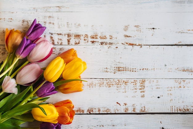 Mehrfarbige Tulpen auf weißem Holzhintergrund. der Blick von oben. mit Platz für Text