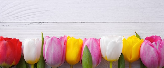 Mehrfarbige Tulpen in einer Reihe auf einem Hintergrund von Lichtbrettern.