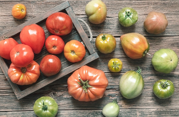 Mehrfarbige, unbehandelte Bio-Tomaten auf einem Holztisch