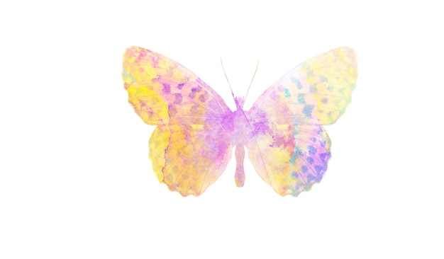 Mehrfarbiger aquarellschmetterling. tropisches insekt für design. isoliert auf weißem hintergrund