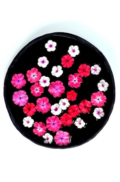 Mehrfarbiges Blumenmandala auf schwimmendem Wasserteller aus frischen Blumen.