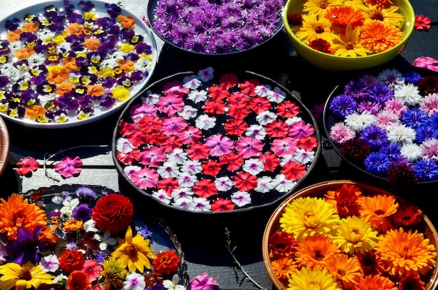 Mehrfarbiges Blumenmandala auf schwimmendem Wasserteller aus frischen Blumen.