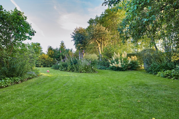 Mein Garten Gepflegter Gartenpark oder Hof mit grünen Grasbäumen und Blumen, die an einem entspannenden, frischen Frühlingstag draußen mit Kopierraum wachsen Malerische Ruhe und schöne Landschaftsansicht in der Natur