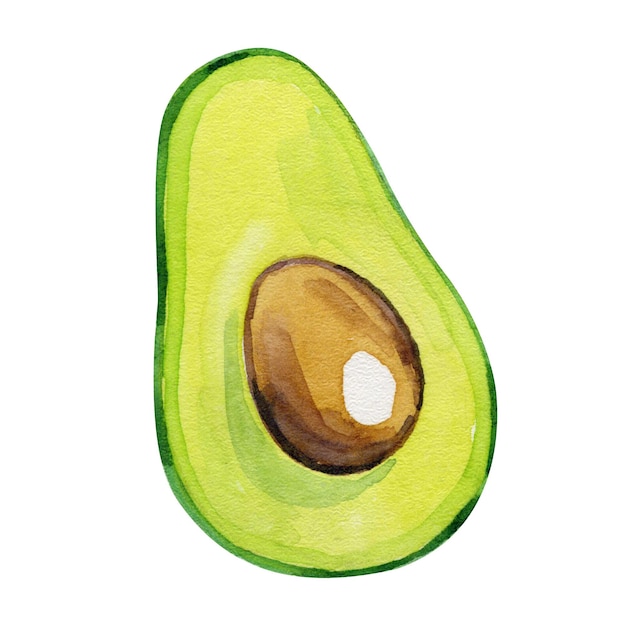 Meio abacate isolado em fundo branco Elemento de aquarela
