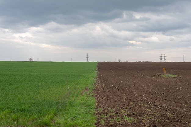Meio campo e meio arado de terra antes da tempestade