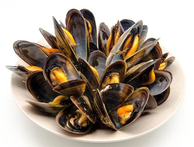 Mejillones en la cáscara