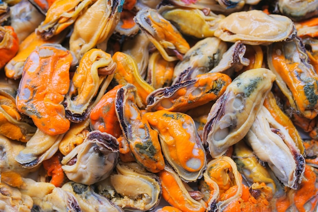 Mejillones frescos con comida cocinada