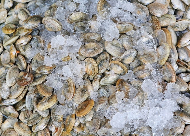 Mejillones frescos con hielo