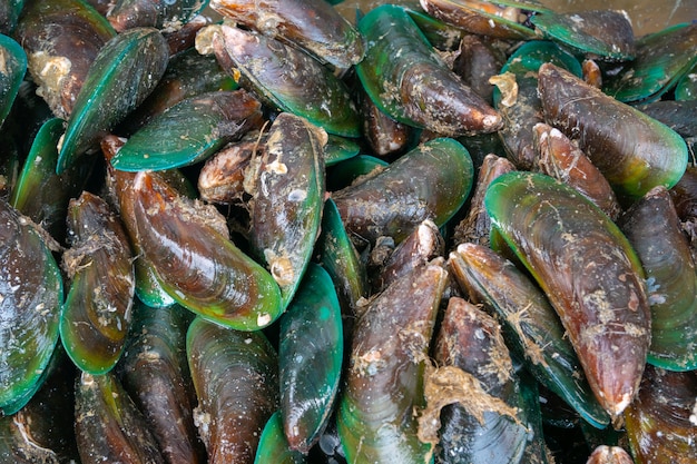 Mejillones frescos en el mercado.