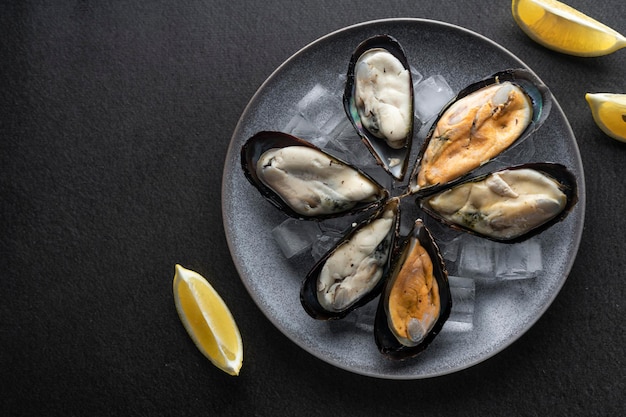 Mejillones recién congelados en un plato con hielo sobre un fondo oscuro copyspace delicadeza cara