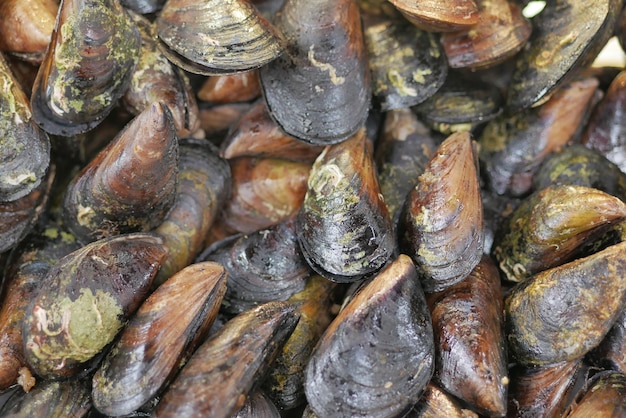 Mejillones tailandeses en metal en la vista superior de la mesa