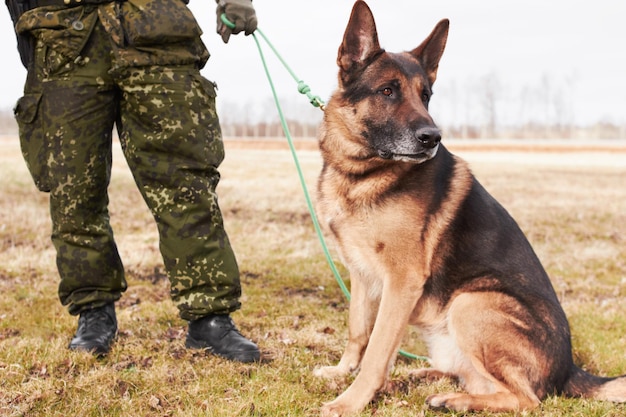 El mejor amigo de los soldados. Un soldado de pie con su perro.