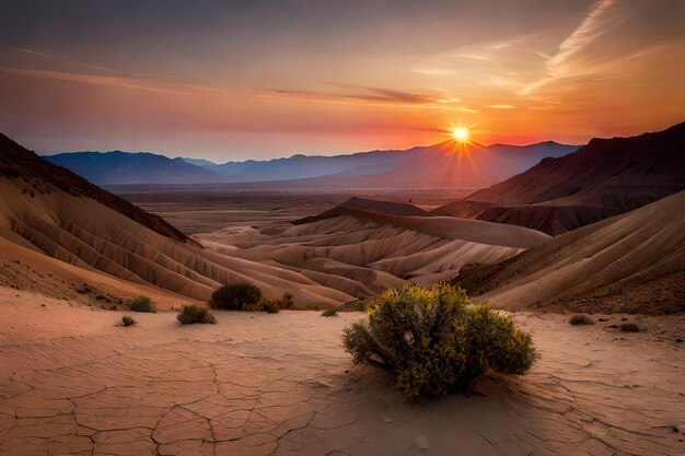 Foto mejor foto al azar