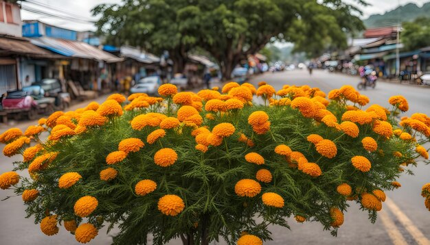 Mejor increíble maravilloso esta foto tomar esta foto para su trabajo AI generado top hermosa foto