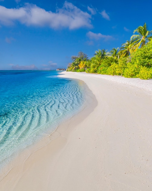 El mejor paisaje de playa tropical Fantástico destino de vacaciones en la costa de verano palmeras arena blanca