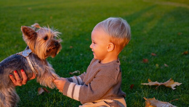 Mejores amigos para siempre Infancia feliz Dulces recuerdos de la infancia Juego de niños con un perro yorkshire terrier Un niño pequeño disfruta del ocio con un amigo perro Un niño pequeño camina con un perro La verdadera amistad