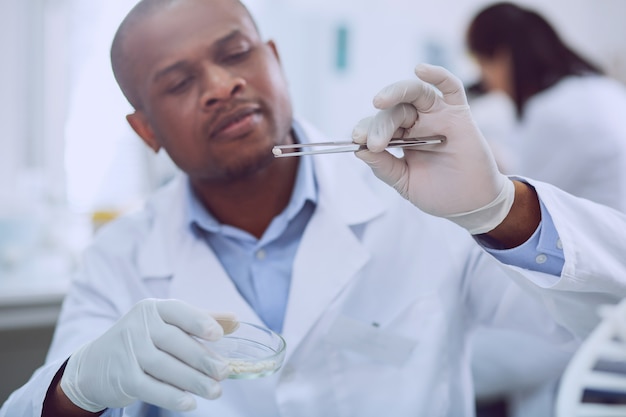 Mejores muestras. Biólogo experimentado y decidido que realiza una prueba con semillas mientras trabaja en el laboratorio