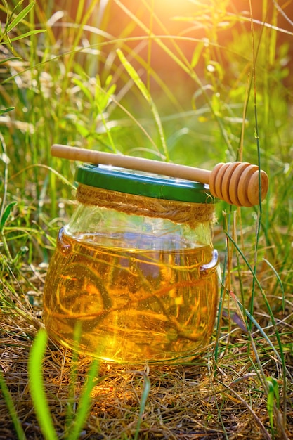 Mel de barril e colher para mel na grama verde de verão