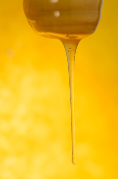 Mel fluindo de uma colher de pau O mel doce da flor de âmbar flui Fluxo líquido de mel