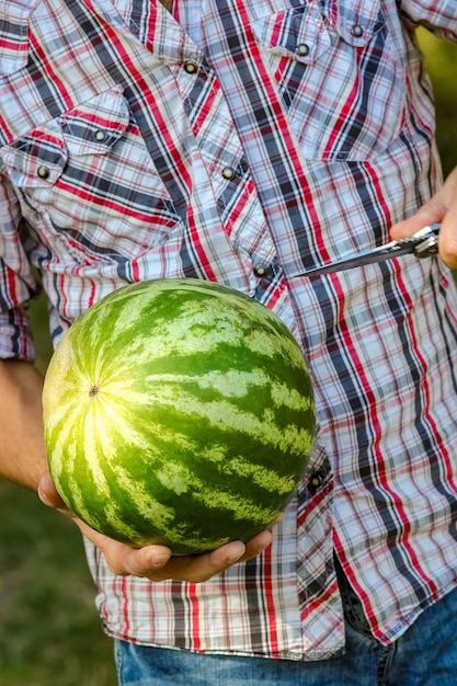 Melancia nas mãos de um cara na natureza