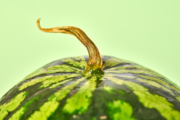 Melancia saborosa e suculenta com fundo verde de cauda seca deliciosa fruta de verão para se manter hidratada