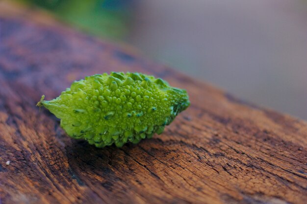 Melão Amargo Verde