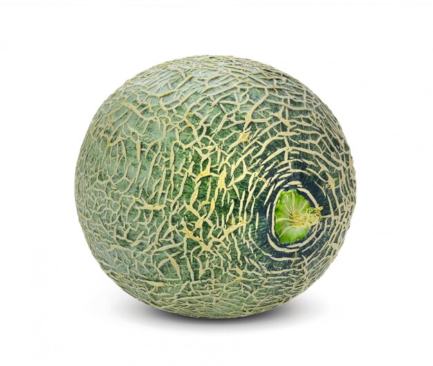 Melão cantalupo isolado