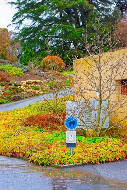 Foto melden sie sich für die reinigung von hundekot und spezielle taschen im park in lausanne in der schweiz an