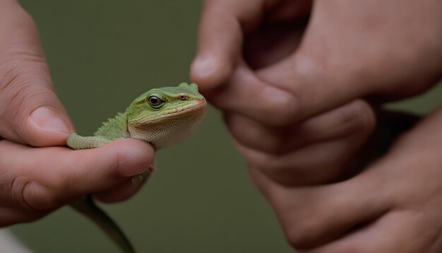 Melhor incrível maravilhoso esta foto tirar esta foto para o seu trabalho AI gerado top foto linda