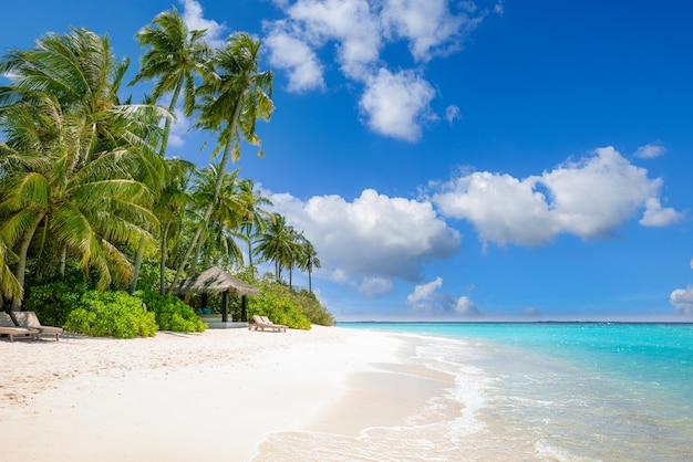 Melhor paisagem de praia tropical. Costa de verão fantástica, destino de férias, céu de areia do mar de palmeiras