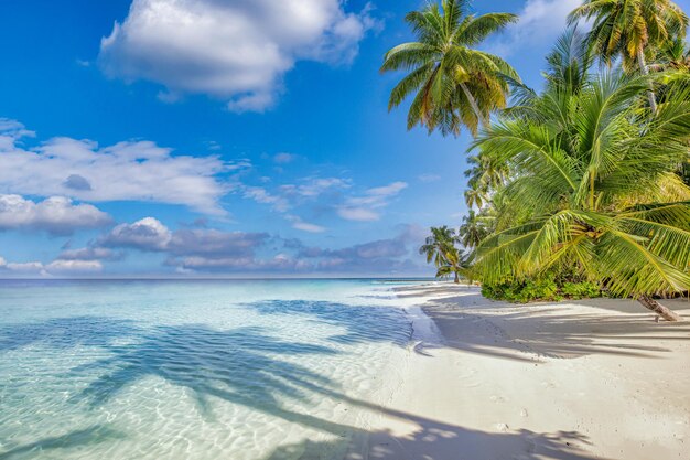 Melhor paisagem de praia tropical. Costa de verão fantástica, destino de férias, palmeiras, areia branca