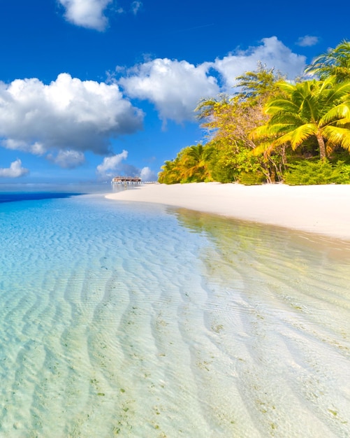 Melhor paisagem de praia tropical Destino de férias fantástico na costa de verão palmeiras areia branca