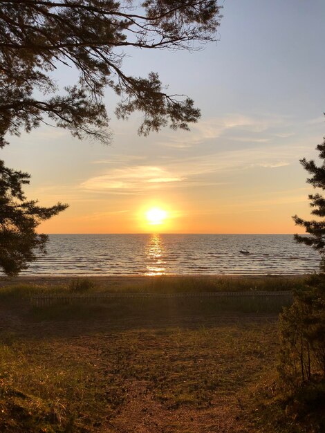 Foto melhor paisagem marítima com pôr-do-sol sol ainda mar praia de areia vazia e árvores verdes