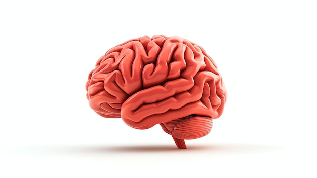Melhore seus projetos com este impressionante ícone de cérebro renderizado em 3D Sua simplicidade e design limpo o tornam perfeito para qualquer conteúdo científico, médico ou educacional Isolado em um fundo branco