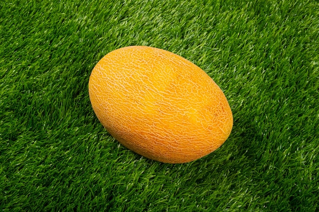 Melón amarillo sobre hierba verde