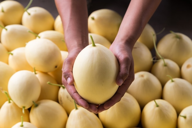 melón de piel amarilla