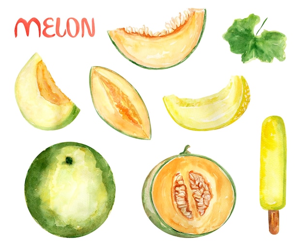 Melonen-Aquarell-Set aus Melonenstücken