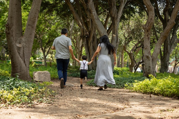 Membros da família de mãos dadas e caminhando para trás em um parque juntos família