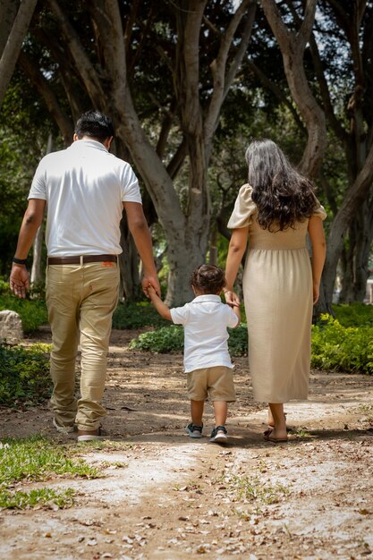 Membros da família de mãos dadas e caminhando para trás em um parque juntos família