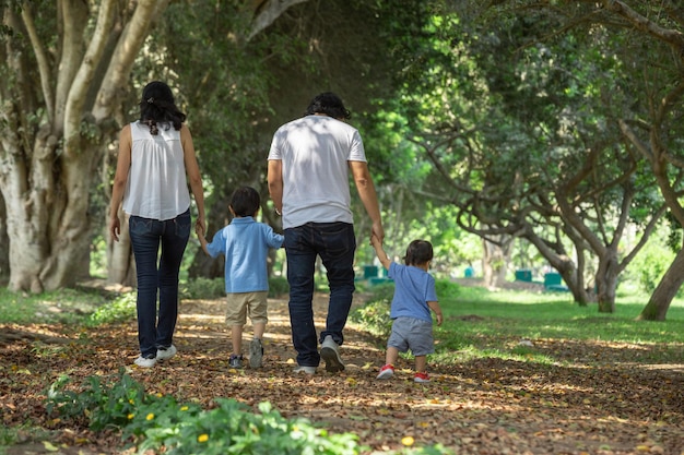 Membros da família de mãos dadas e caminhando para trás em um parque juntos família