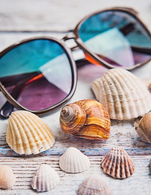 Memórias à beira-mar Óculos de sol e conchas