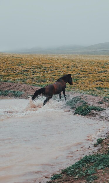 Mendoza, Argentina