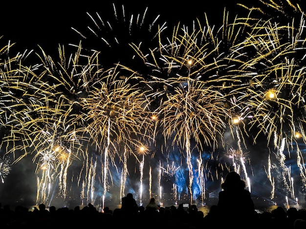 Menge beobachten Variety buntes Feuerwerk. Gruß mit gelben und goldenen Blitzen auf dem Nachthimmelhintergrund.