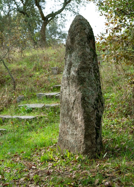 menhir sardo -Biru 'e concas Sorgono