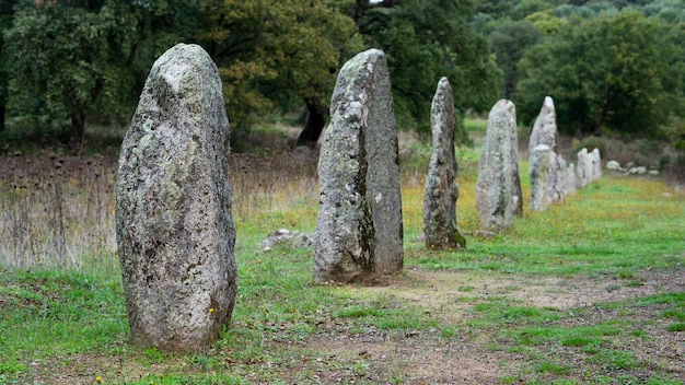 menhir sardo -Biru 'e concas Sorgono